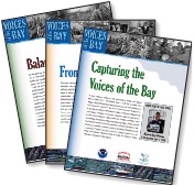 Voices Of The Bay Report